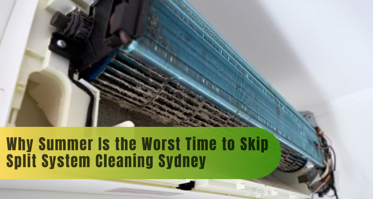 mould in a split system